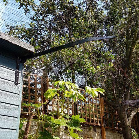 Barrière anti chat pour tronc d'arbre 66cm